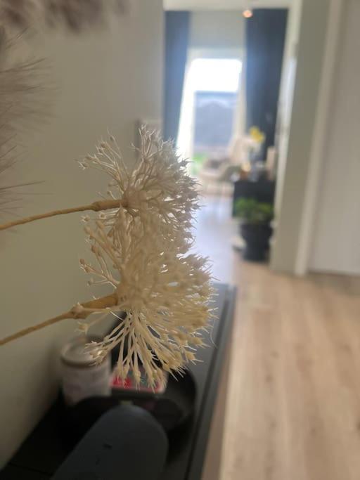Golden Circle House 1 Apartment Селфос Екстериор снимка